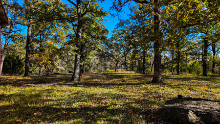 Recreational Property For Sale Osceola MO - image 21