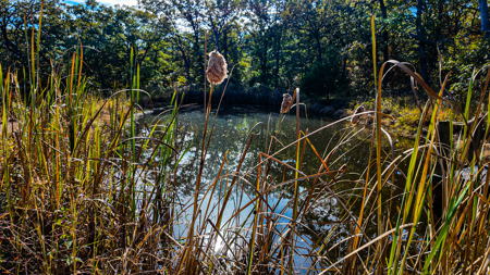 Recreational Property For Sale Osceola MO - image 12