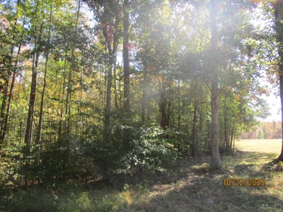 38.82 Acres of Prime Virginia Timberland. Build or Hunt! - image 2