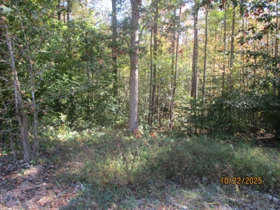 38.82 Acres of Prime Virginia Timberland. Build or Hunt! - image 4
