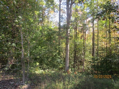 38.82 Acres of Prime Virginia Timberland. Build or Hunt! - image 1