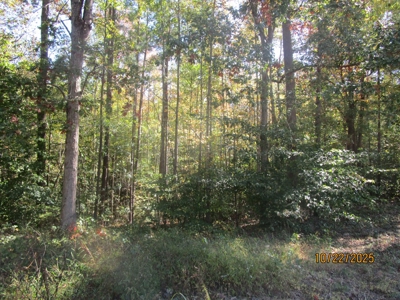 38.82 Acres of Prime Virginia Timberland. Build or Hunt! - image 3