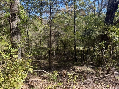 Building Land For Sale In North Central Arkansas - image 3