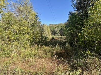 Building Land For Sale In North Central Arkansas - image 1