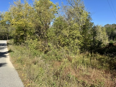 Building Land For Sale In North Central Arkansas - image 9