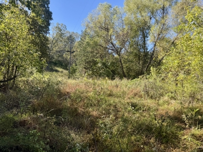 Building Land For Sale In North Central Arkansas - image 4