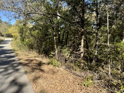 Building Land For Sale In North Central Arkansas - image 8