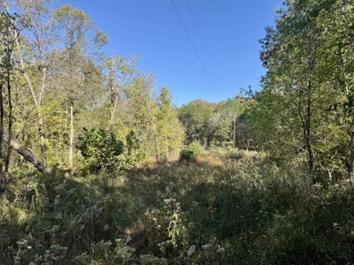 Building Land For Sale In North Central Arkansas - image 5