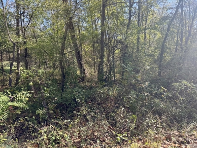 Building Land For Sale In North Central Arkansas - image 2
