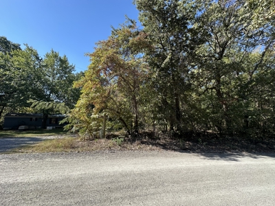 Mayes County, OK Land For Sale - image 3