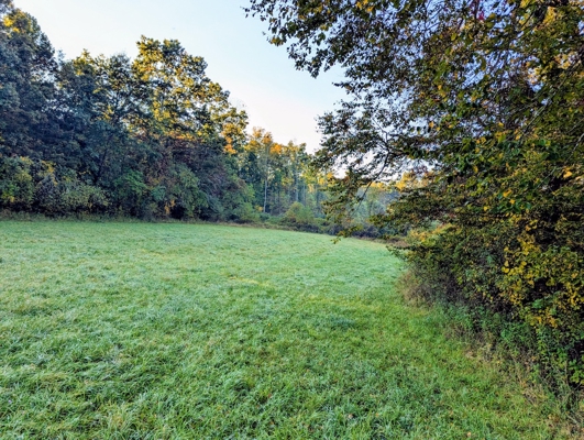 Large Tract of Land for Sale in Check VA