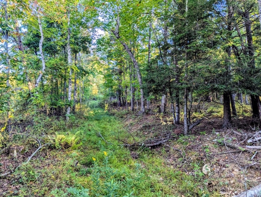 Large Tract of Land for Sale in Check VA