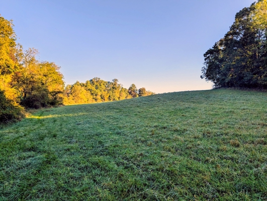 Large Tract of Land for Sale in Check VA