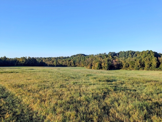 Large Tract of Land for Sale in Check VA