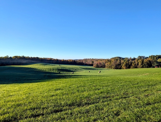 Large Tract of Land for Sale in Check VA