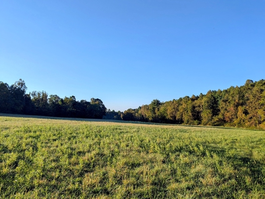 Large Tract of Land for Sale in Check VA