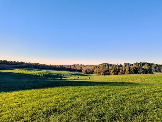 Large Tract of Land for Sale in Check VA