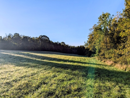 Large Tract of Land for Sale in Check VA