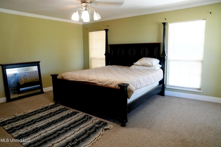 Pike County MS Home Near McComb - 4Br, 3BR on 3.24 Acres - image 24