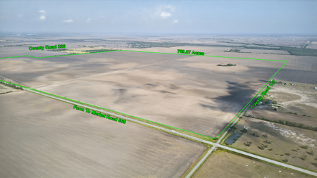 770 Acres of Prime South Texas Coastal Bend Farmland - image 15