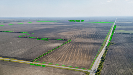 770 Acres of Prime South Texas Coastal Bend Farmland - image 5