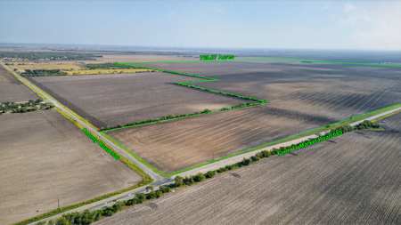 770 Acres of Prime South Texas Coastal Bend Farmland - image 4