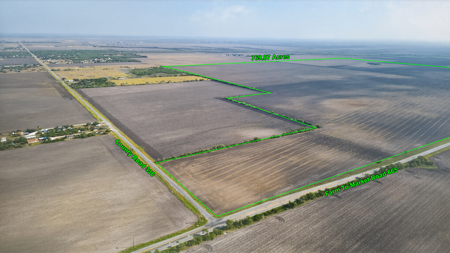 770 Acres of Prime South Texas Coastal Bend Farmland - image 3