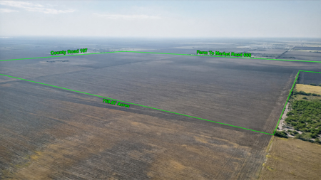 770 Acres of Prime South Texas Coastal Bend Farmland - image 9