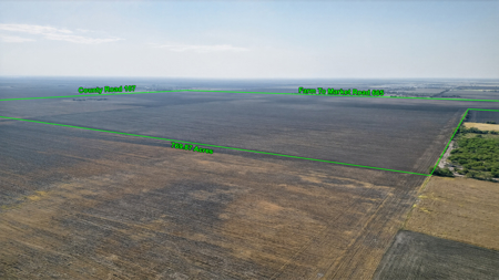 770 Acres of Prime South Texas Coastal Bend Farmland - image 8