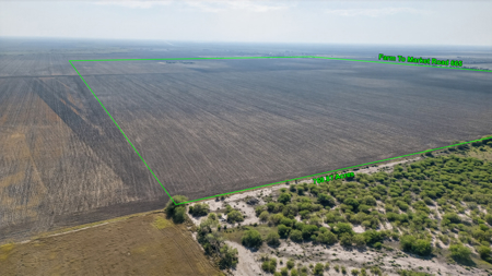 770 Acres of Prime South Texas Coastal Bend Farmland - image 7