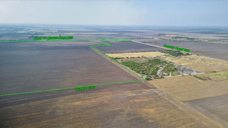 770 Acres of Prime South Texas Coastal Bend Farmland - image 10