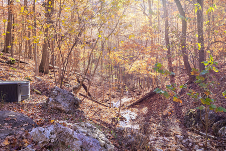 Ozark Farm W/Cave, Springs, Homes, 65 Acres In Northwest Arkansas - image 22