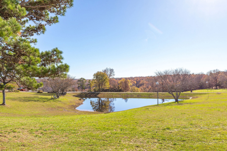 Ozark Farm W/Cave, Springs, Homes, 65 Acres In Northwest Arkansas - image 2