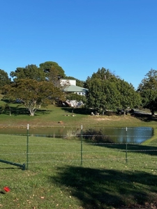 Ozark Farm W/Cave, Springs, Homes, 65 Acres In Northwest Arkansas - image 48