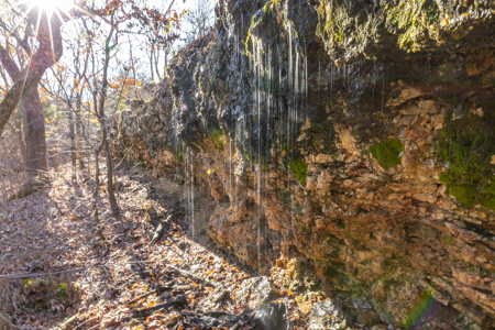 Ozark Farm W/Cave, Springs, Homes, 65 Acres In Northwest Arkansas - image 11