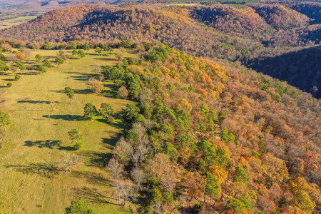 Ozark Farm W/Cave, Springs, Homes, 65 Acres In Northwest Arkansas - image 25