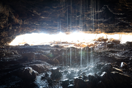 Ozark Farm W/Cave, Springs, Homes, 65 Acres In Northwest Arkansas - image 13