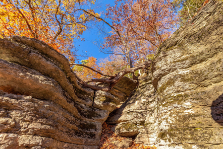 Ozark Farm W/Cave, Springs, Homes, 65 Acres In Northwest Arkansas - image 20