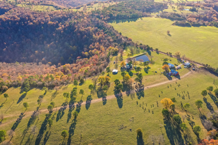 Ozark Farm W/Cave, Springs, Homes, 65 Acres In Northwest Arkansas - image 26