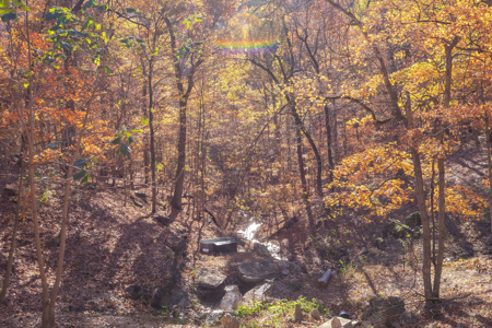 Ozark Farm W/Cave, Springs, Homes, 65 Acres In Northwest Arkansas - image 21