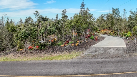 2BR/2BA Hawaii home with dog kennel business, mature landscaping - image 22