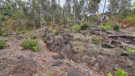 2BR/2BA Hawaii home with dog kennel business, mature landscaping - image 19