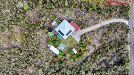 2BR/2BA Hawaii home with dog kennel business, mature landscaping - image 20