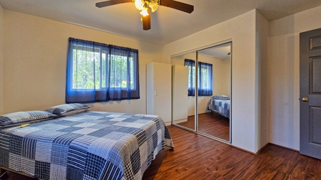 2BR/2BA Hawaii home with dog kennel business, mature landscaping - image 5