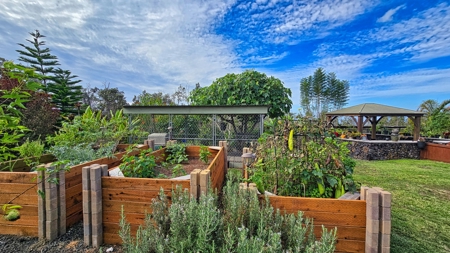 2BR/2BA Hawaii home with dog kennel business, mature landscaping - image 12