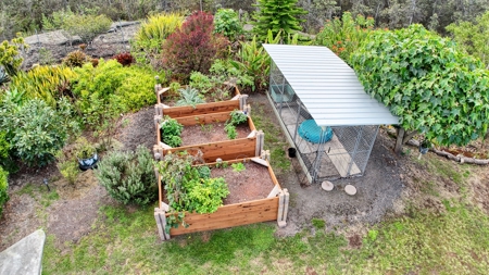 2BR/2BA Hawaii home with dog kennel business, mature landscaping - image 24