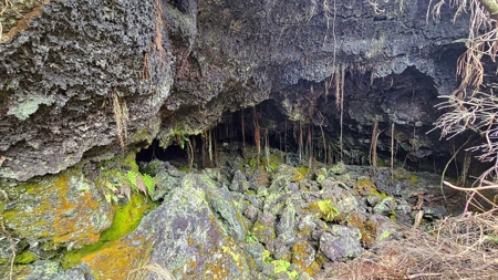 2BR/2BA Hawaii home with dog kennel business, mature landscaping - image 28