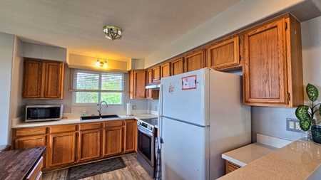 2BR/2BA Hawaii home with dog kennel business, mature landscaping - image 36