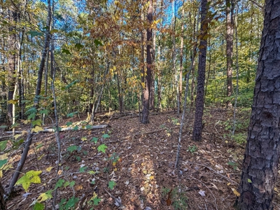 🎣 Your Kerr Lake Retreat Awaits in Holiday Shores in VA! - image 11