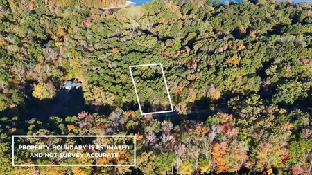 🎣 Your Kerr Lake Retreat Awaits in Holiday Shores in VA! - image 1